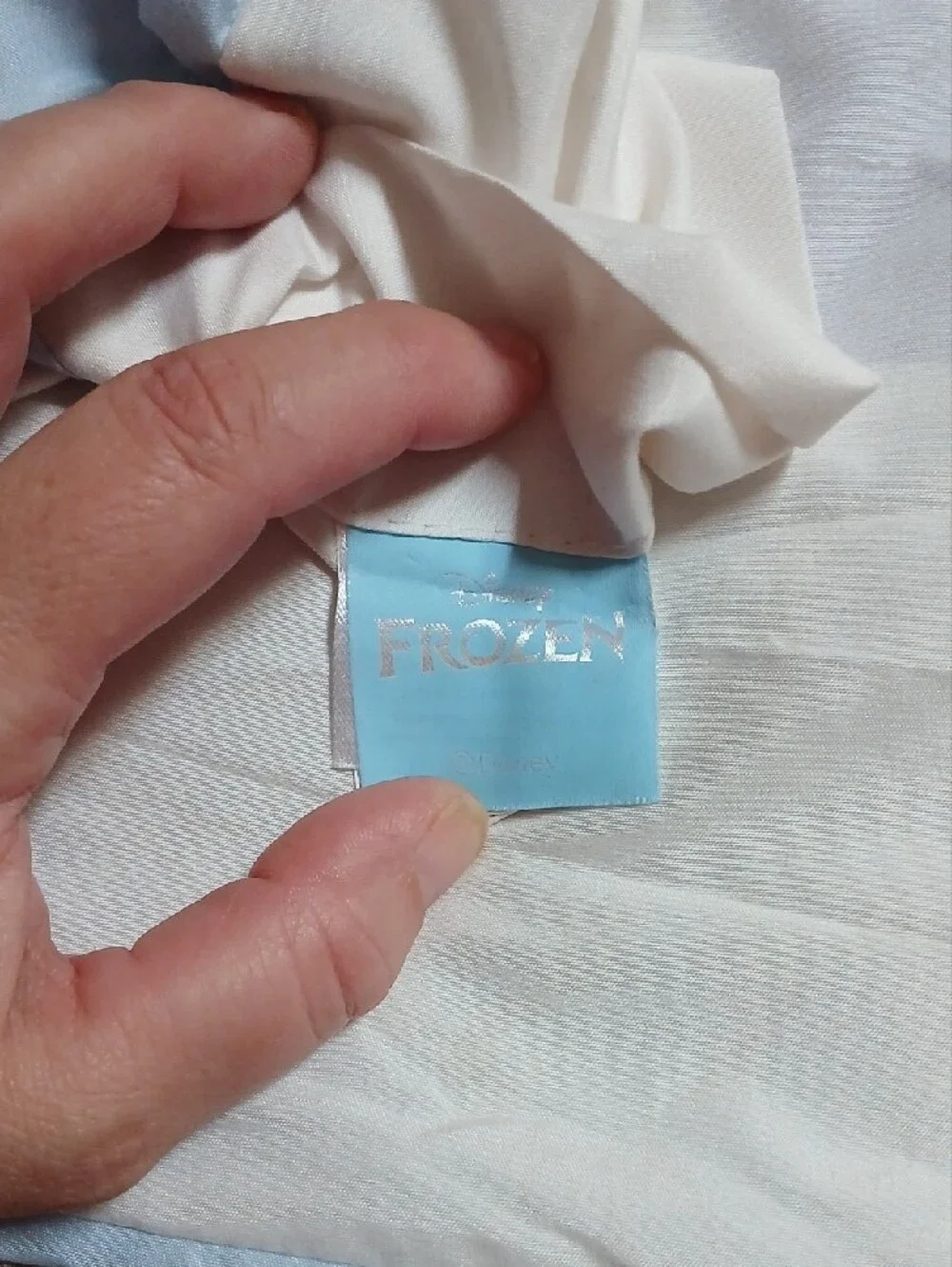 Light Blue Frozen Pillow Case